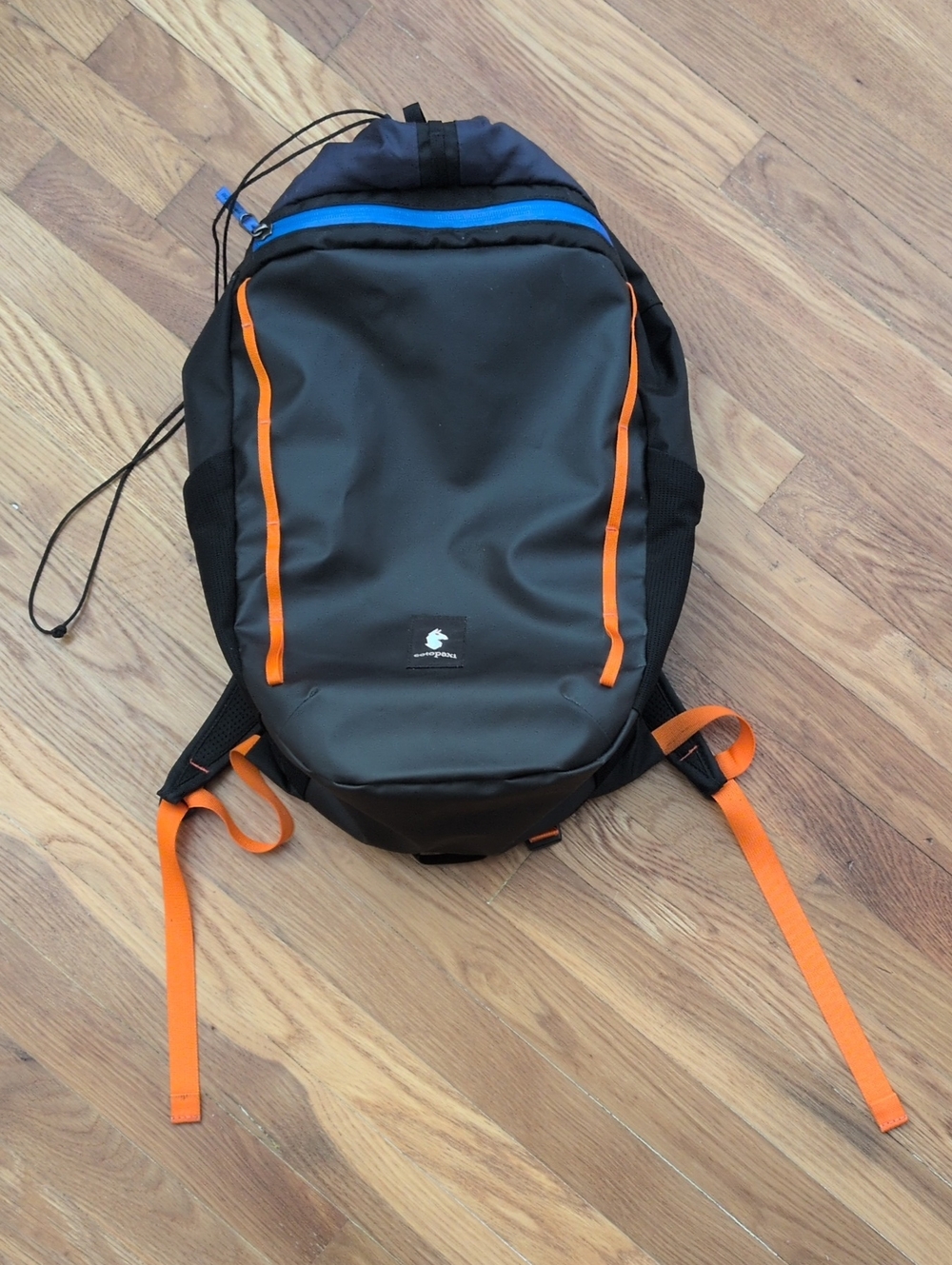 Cotopaxi Moda 20L Backpack - Cada Dรญa